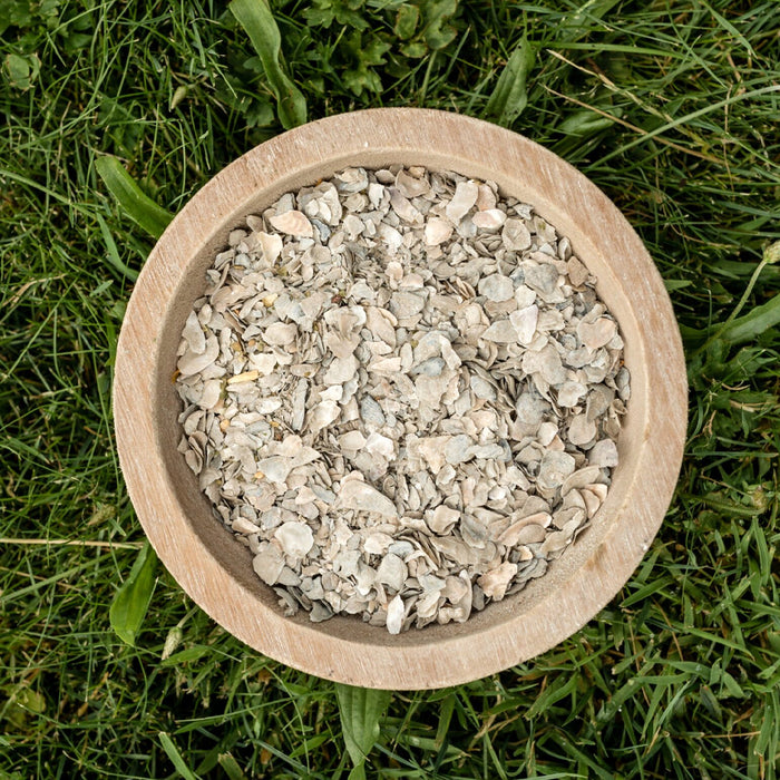 Ground Oyster Shells in a bowl