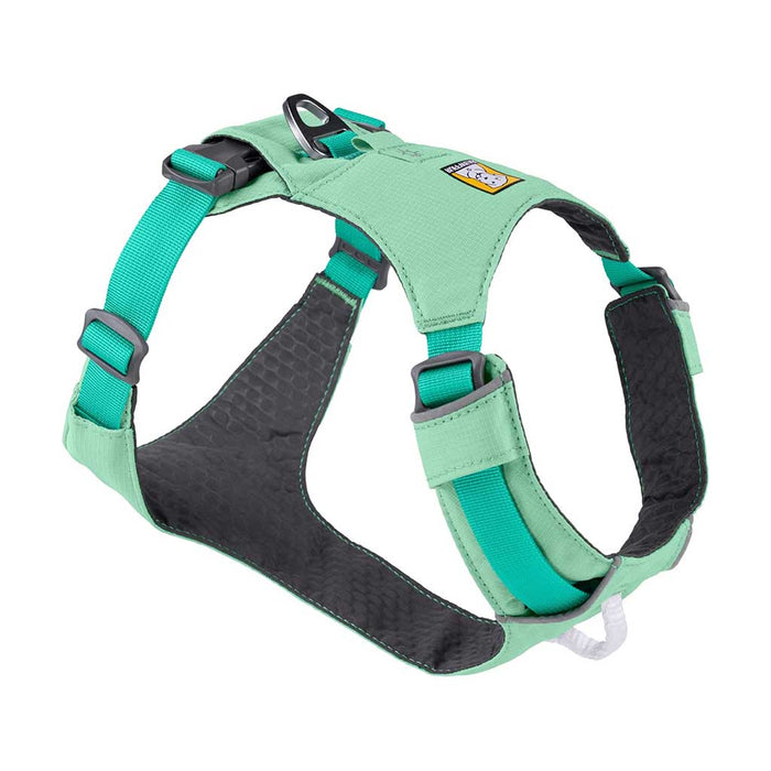 Hi & Light Harness sage green