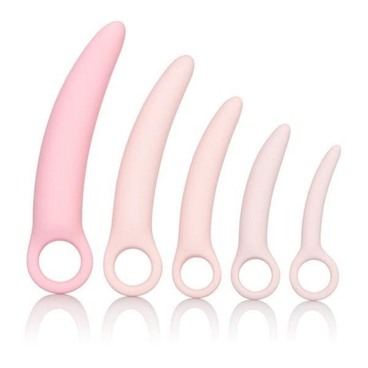 Inspire Silicone Dilator Kit Intimates Adult Boutique