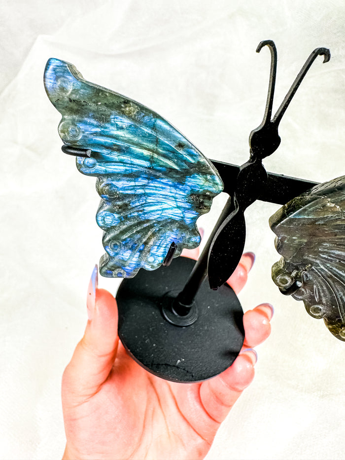Labradorite Butterfly Wings on Stand (40B)