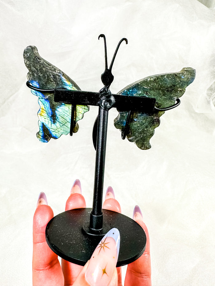Labradorite Butterfly Wings on Stand (40B)