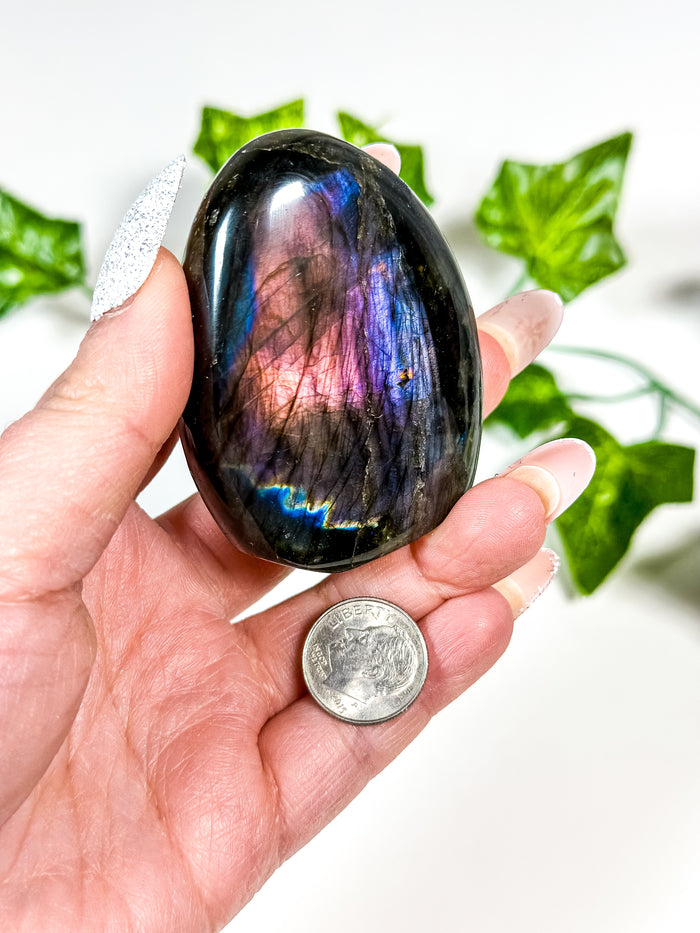 Labradorite Freeform (24A)
