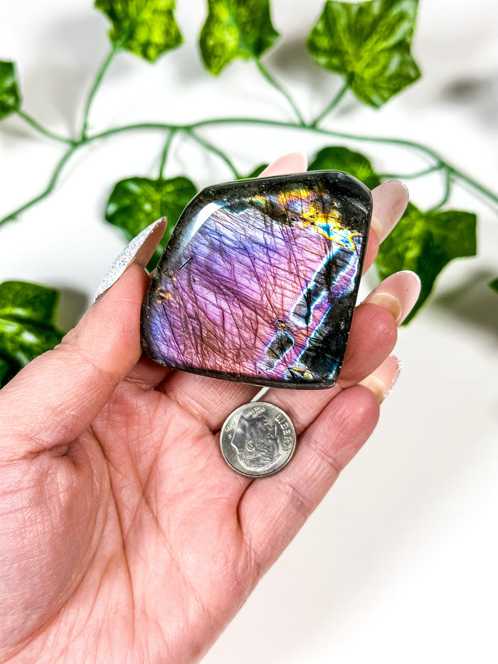 Labradorite Freeform (26A)