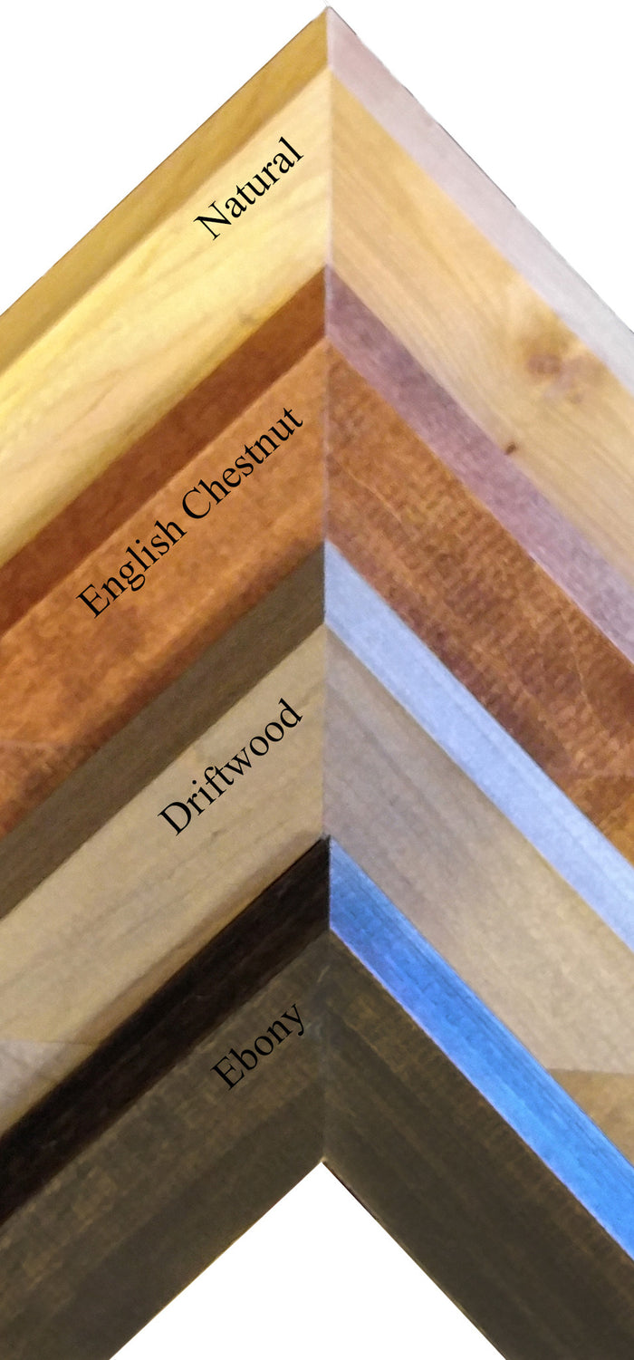 Stain Samples