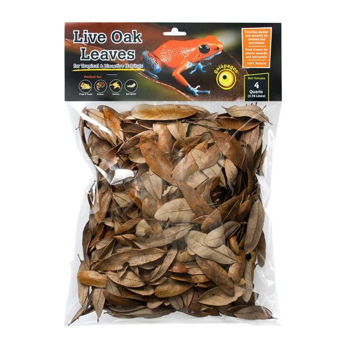 Live Oak Leaves Reptile Leaf Litter 4qts