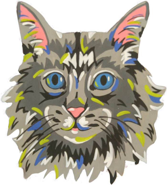 Maine Coon Cat