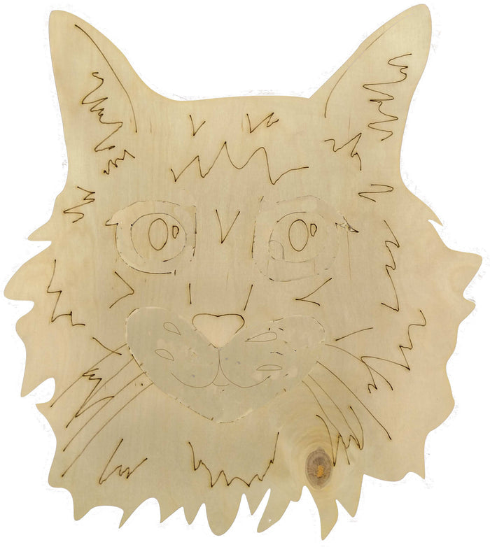 Maine Coon Cat
