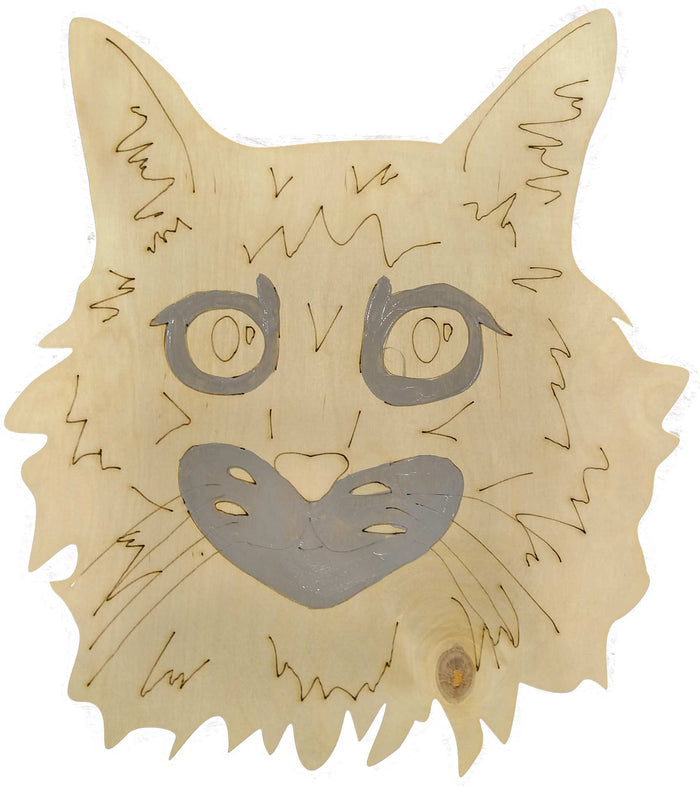 Maine Coon Cat