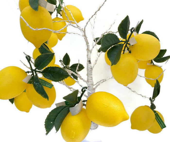 Midcentury Plastic Lemons at Duckwells