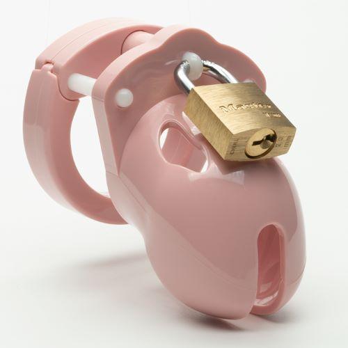 Mr. Stubb Kit 1.75in Pink Cock Cage – Intimates Boutique Intimates Adult Boutique