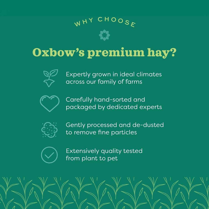Quality hay grown in ideal climates and extensively quality tested.