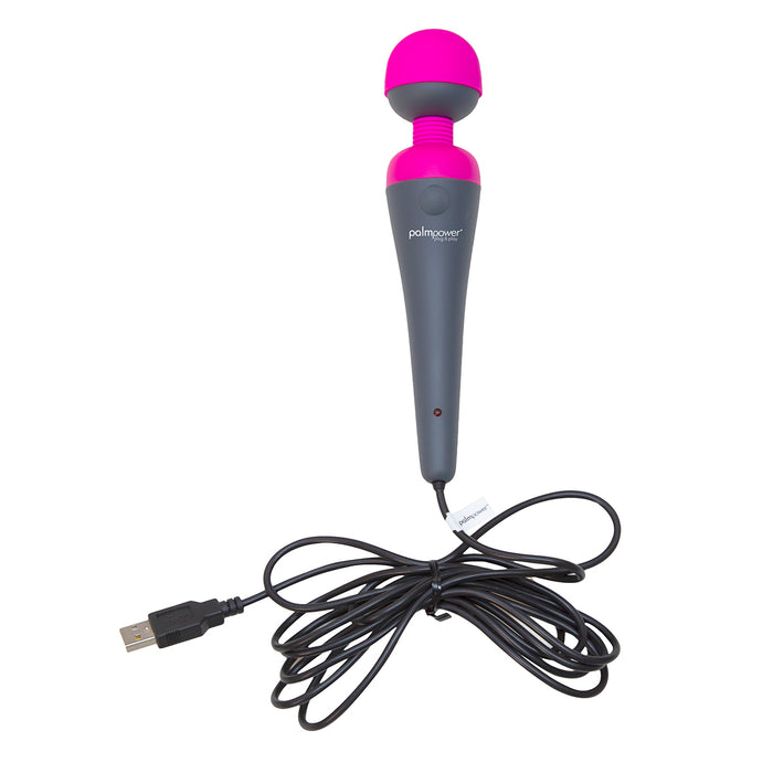PalmPower Plug & Play Intimates Adult Boutique