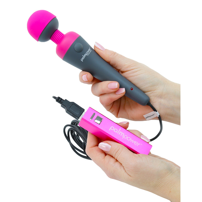 PalmPower Plug & Play Intimates Adult Boutique