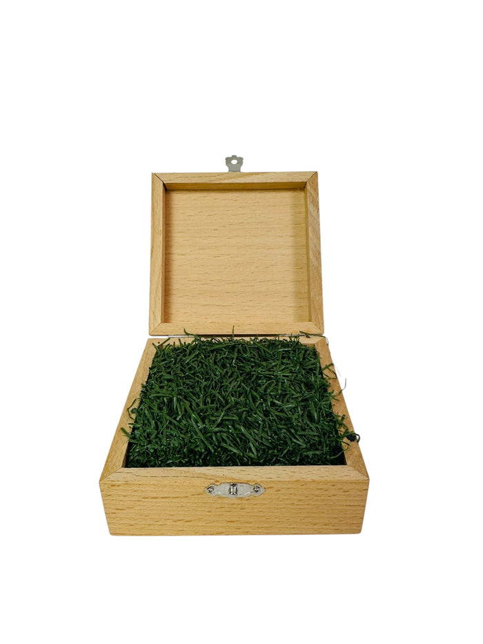 PHILADELPHIA PHILLIES LAST SEASON AT VETERANS STADIUM 2003 COMMEMORATIVE WALL SQUARE