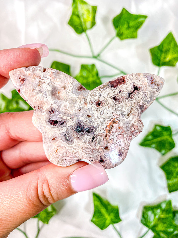 Pink Crazy Lace Agate Butterfly