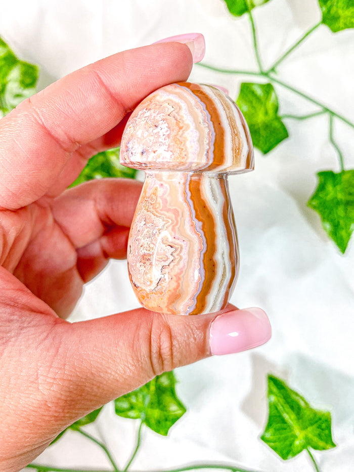 Pink Crazy Lace Agate Mushroom