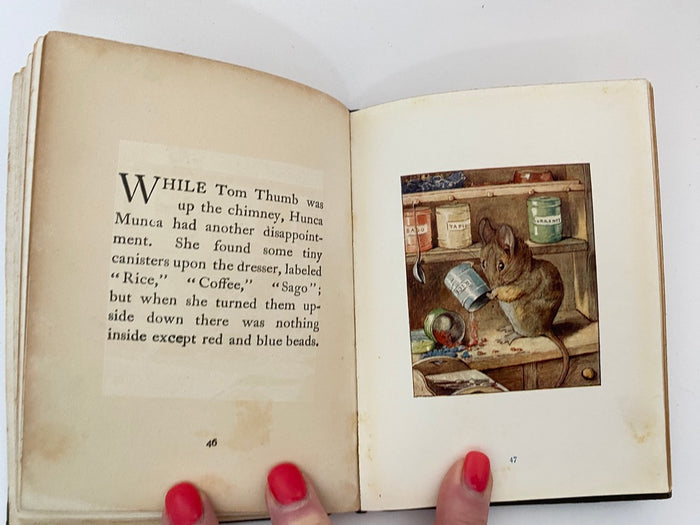 Rare, Antique Beatrix Potter Book, The Tale of Two Bad Mice, 1904 at Duckwells