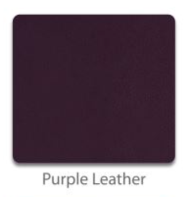 Riedell Toe Guards (pair)