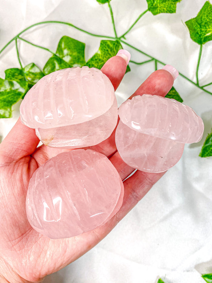 Rose Quartz Clam Shell