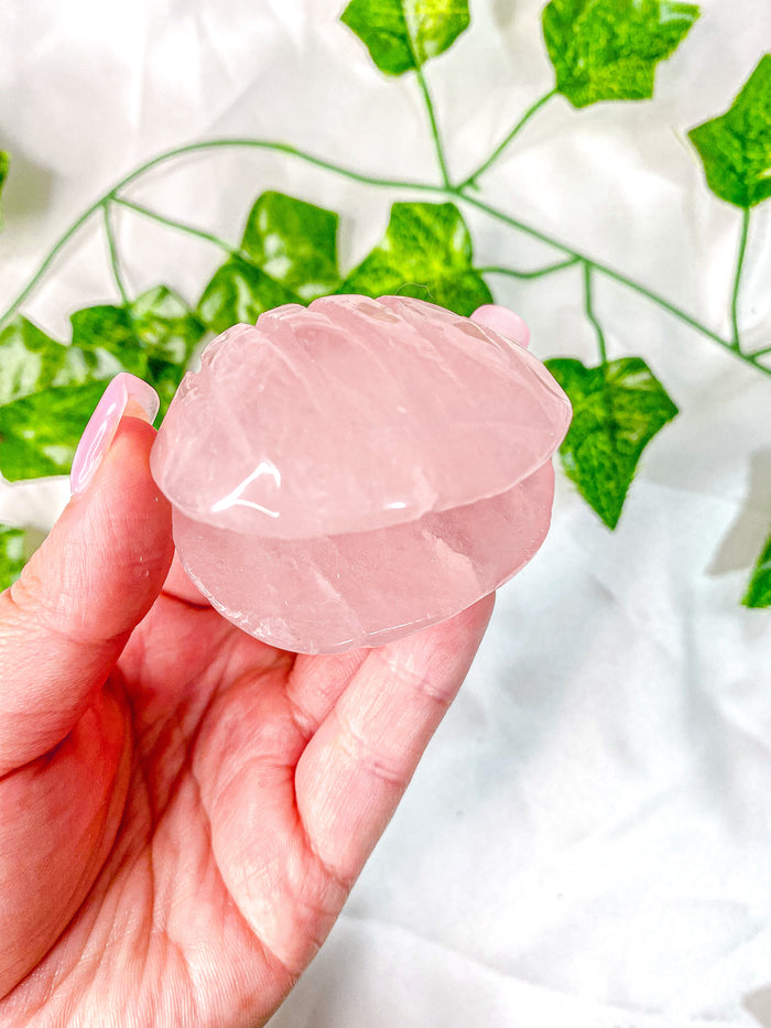 Rose Quartz Clam Shell