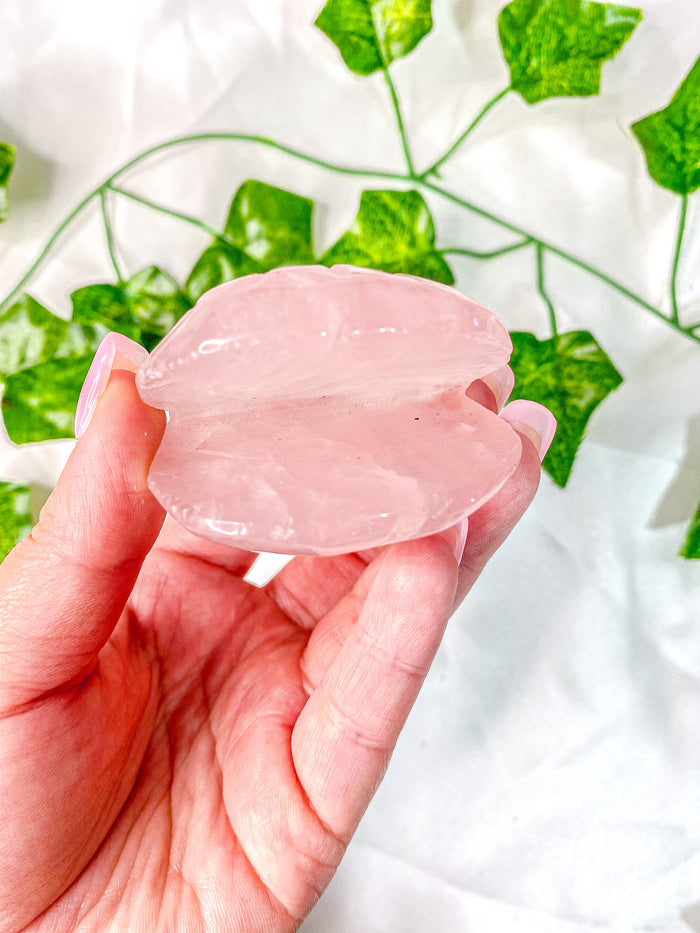 Rose Quartz Clam Shell