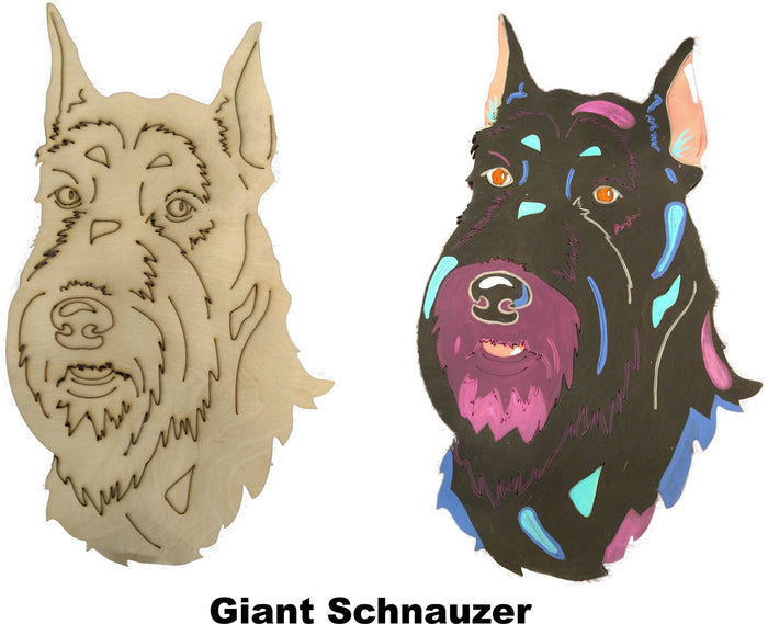 Giant Schnauzer