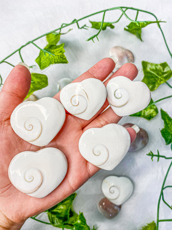 Shiva Shell Heart (wish upon an ocean)
