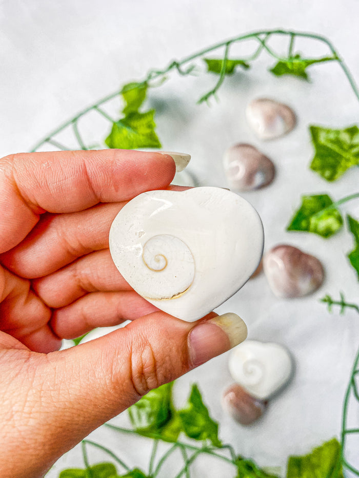 Shiva Shell Heart (wish upon an ocean)