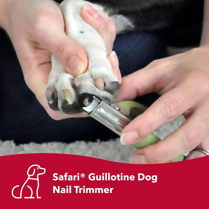Stainless Steel Guillotine Nail Trimmer for Dogs