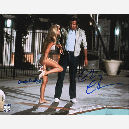 STOCK-CHRISTIE-BRINKLEY-CHEVY-CHASE-003-11X14