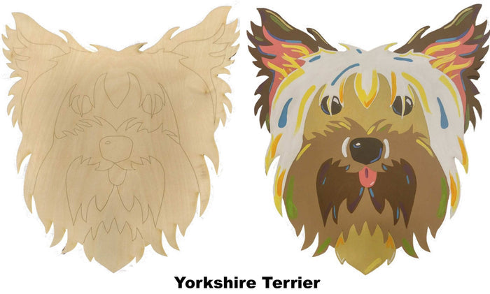 Yorkshire Terrier