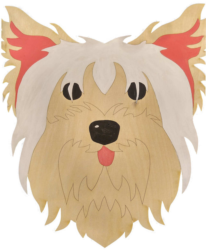 Yorkshire Terrier